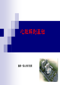 心脏血管解剖