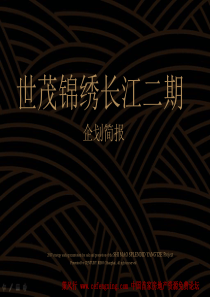 武汉世茂锦绣长江二期企划简案