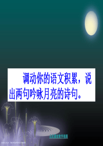 记承天寺夜游