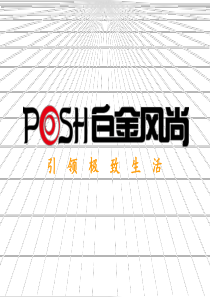 XXXX1213高新天地品牌传播计划书