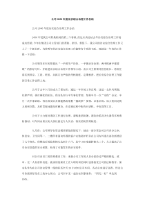 公司2006年度治安综合治理工作总结