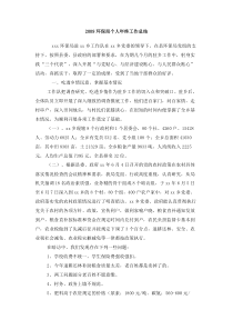 环保局个人年终工作总结