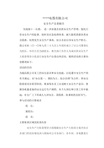 安检报告