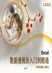 Excel数据透视表入门到精通--ppt课件