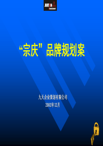 “宗庆”品牌规划案