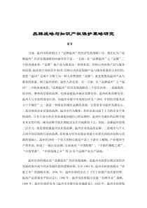 【战略管理】3204-品牌战略与知识产权保护策略研究