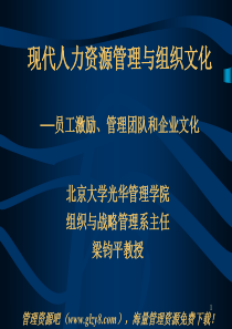 北大mba讲义-人力资源管理与组织文化