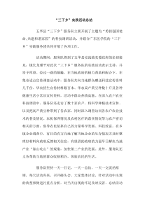 三下乡实践活动总结