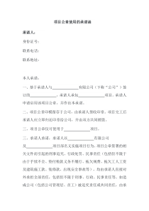 项目公章使用的承诺函