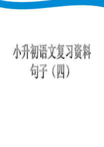 小升初语文专项复习四--句子
