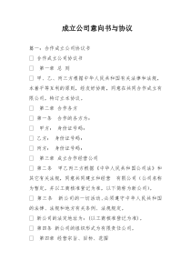 成立公司意向书与协议
