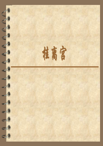 桂离宫园林景观浅析