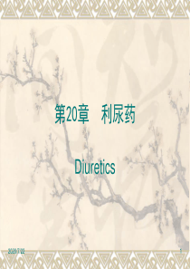 《利尿药》ppt课件
