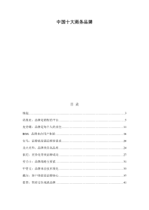 中国十大商务品牌(2)