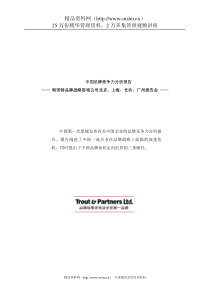 中国品牌竞争力分析报告(1)