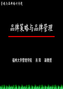 中国电信《品牌策略与品牌管理》内训教材
