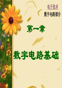 从模电到数电的电子技术课件-dz_chap11