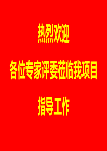 优秀北京市结构长城杯汇报PPT