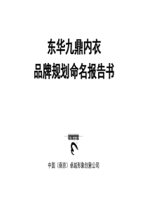 九鼎品牌规划命名报告书(PPT 51)