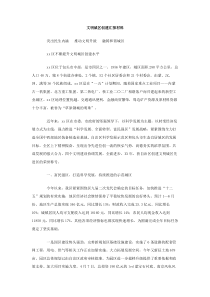 文明城区创建汇报材料