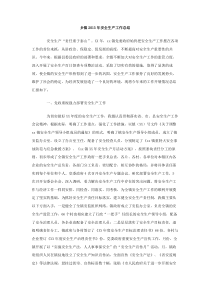 乡镇2013年安全生产工作总结