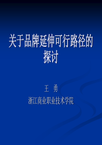 关于品牌延伸可行路径的探讨(PPT19)
