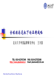 北京大学中国品牌研究中心 王齐国