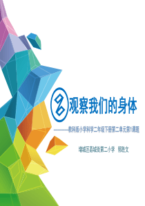 二年级下册科学《1.观察我们的身体》-教科版