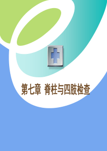 脊柱与四肢检查课件