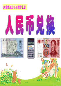 《人民币兑换》PPT课件