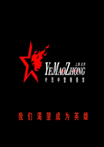 叶茂中-光磊锅炉品牌全案