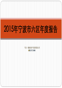 XXXX年宁波市六区年度报告
