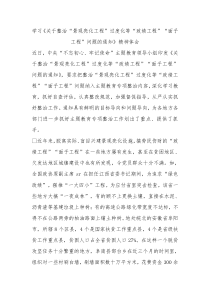 学习关于整治景观亮化工程过度化等政绩工程面子工程问题的通知精神体会
