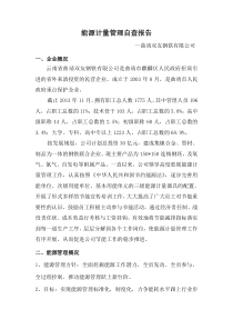 能源计量管理自查报告