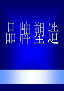 品牌塑造（PPT 172页）
