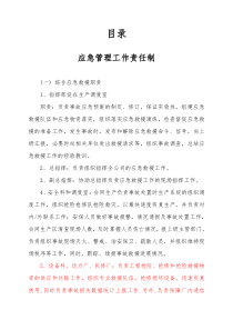 应急管理工作责任制