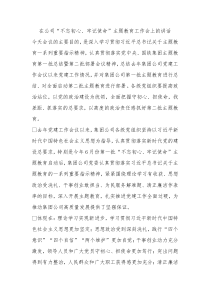 在公司不忘初心牢记使命主题教育工作会上的讲话