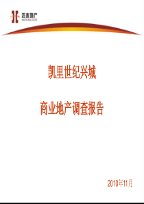 X年11月凯里世纪兴城商业地产调查报告