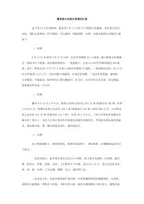 遭受特大洪涝灾害情况汇报下载