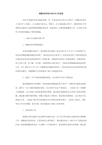 昭通市农环站2004年工作总结