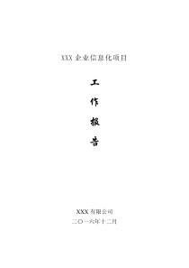 软件项目工作报告