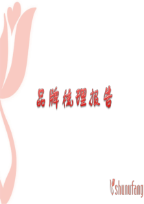 品牌梳理报告