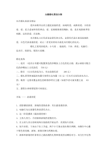 主题婚礼策划方案