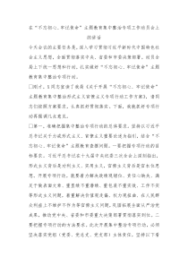主题教育集中整治专项工作动员会上的讲话