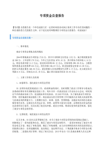 专项资金自查报告