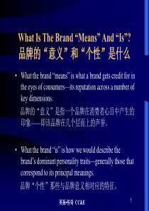 品牌的“意义”和“个性”是什么(PPT108)