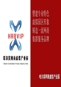 哈尔滨网商虚拟产业园介绍