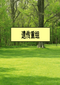遗传学遗传重组ppt课件