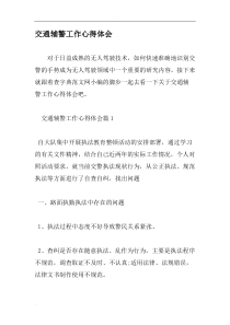 交通辅警工作心得体会