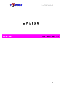 品牌運作資料參考(1)